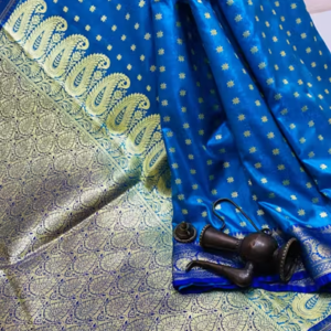 mina katan benarasi saree