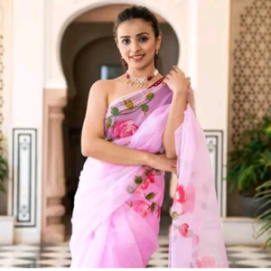 organza saree (copy)